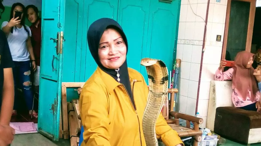 Iin Ayu, wanita penakluk ular King Kobra asal Purwokerto © 2019 liputan6.com