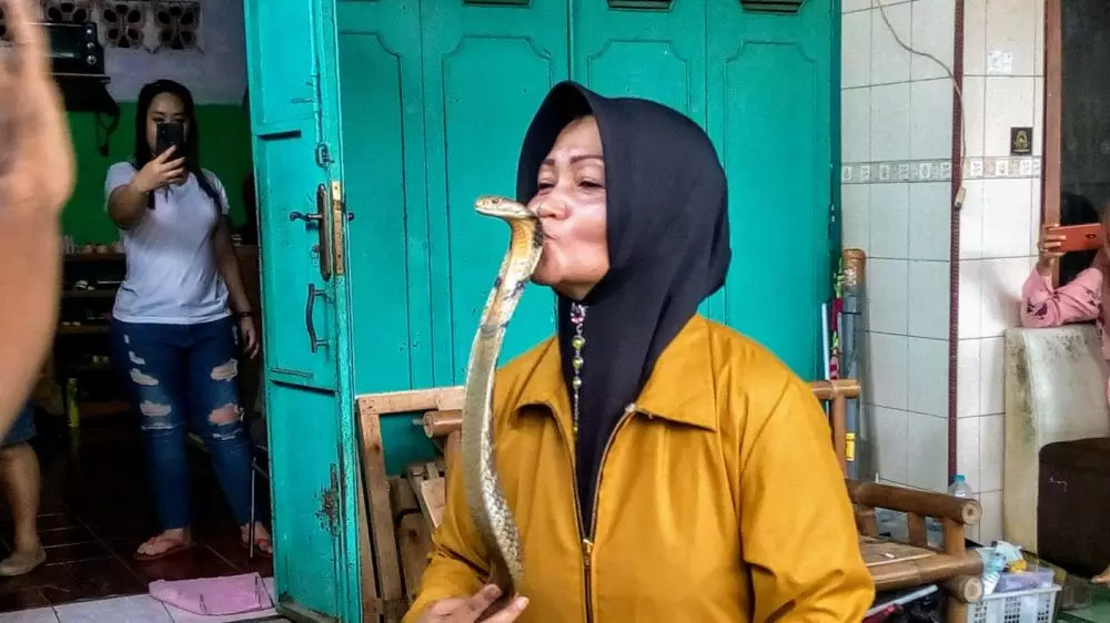 Iin Ayu, wanita penakluk ular King Kobra asal Purwokerto © 2019 liputan6.com