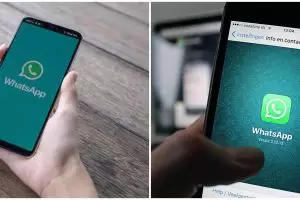 5 Fitur baru WhatsApp yang perlu kamu tahu, makin canggih