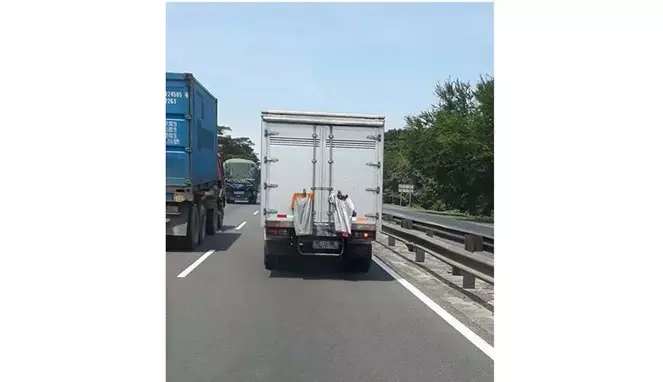 foto lucu benda nyangkut garuk © berbagai sumber foto lucu benda nyangkut garuk © berbagai sumber