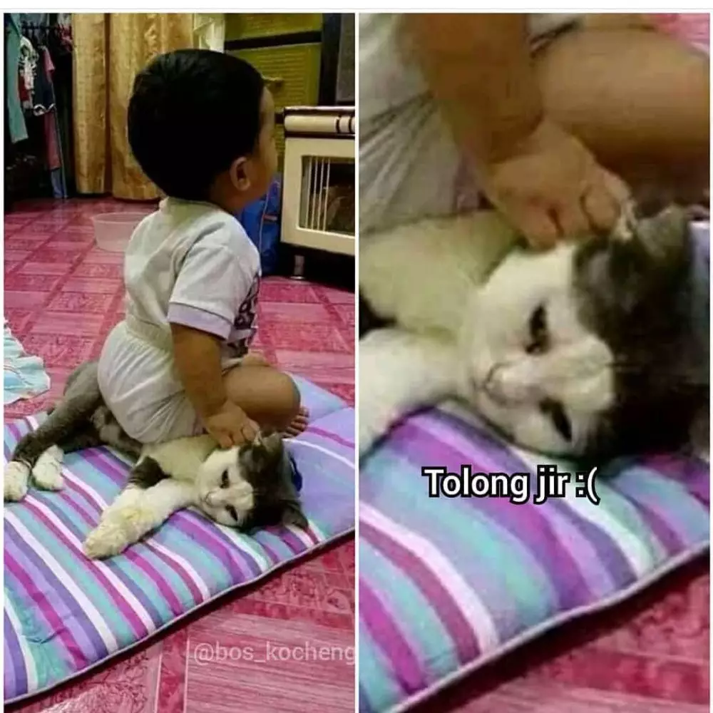 pasrah sama keadaan lucu sedih ketawa © berbagai sumber