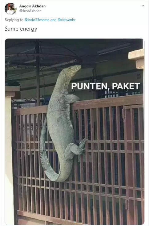 editan hewan kurir © 2019 brilio.net