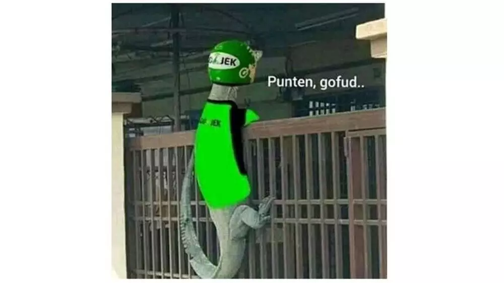 editan hewan kurir © 2019 brilio.net