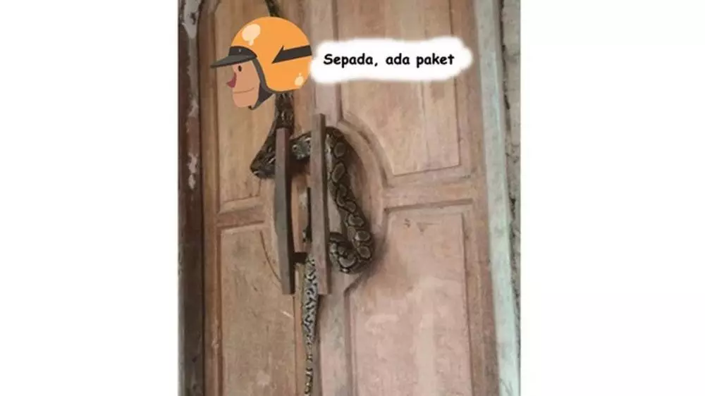 editan hewan kurir © 2019 brilio.net