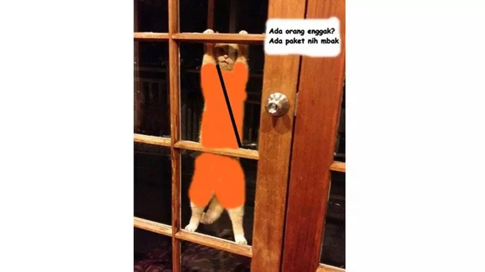 editan hewan kurir © 2019 brilio.net