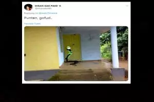 7 Editan foto hewan jadi kurir ini bikin nyengir