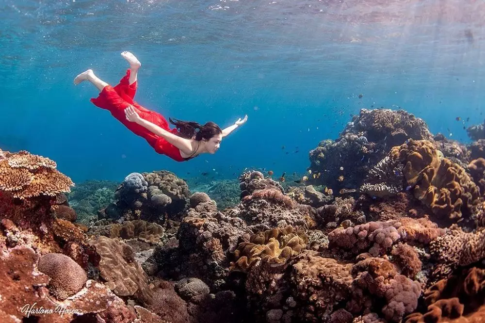 Momen prewedding Boy William di dalam laut Instagram 