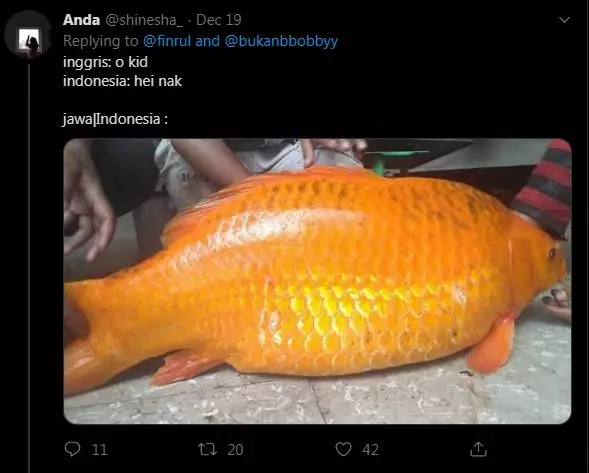 8 Cuitan lucu arti kata dalam bahasa daerah © 2019 brilio.net