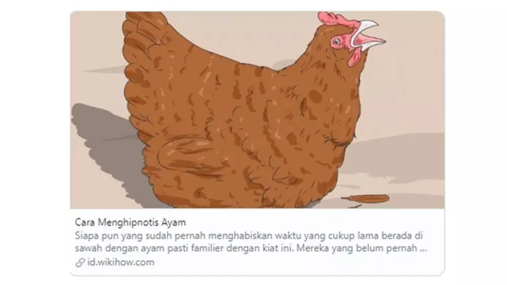 6 Tutorial nyeleneh Wikihow, isinya bikin geleng-geleng kepala © 2019 wikihow.com 6 Tutorial nyeleneh Wikihow, isinya bikin geleng-geleng kepala © 2019 wikihow.com
