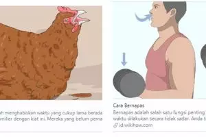 6 Tutorial nyeleneh Wikihow, isinya bikin geleng-geleng kepala