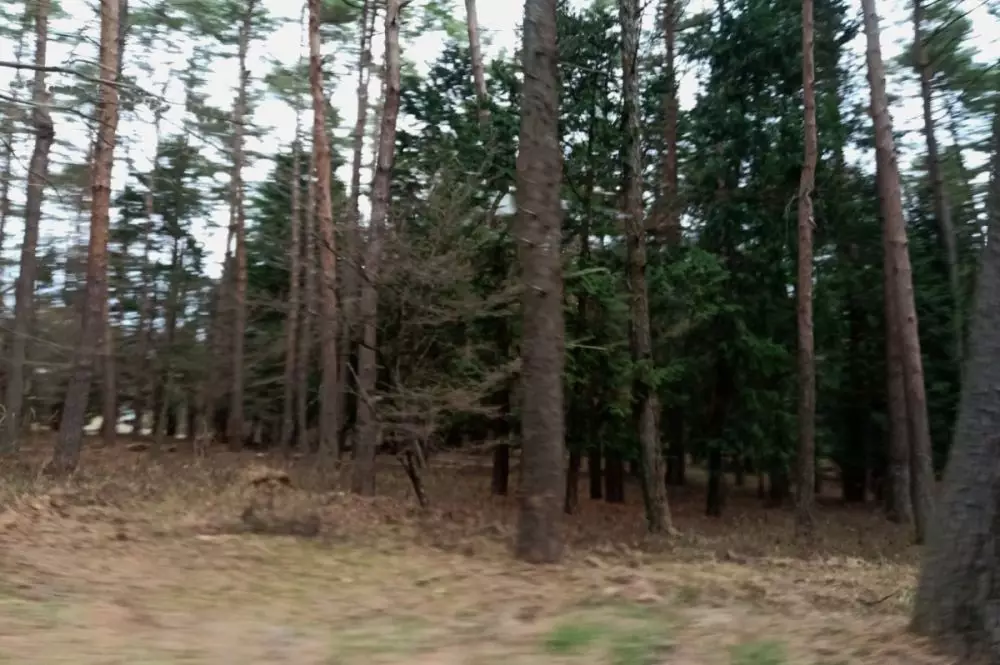 Jepang Travel © 2019 brilio.net