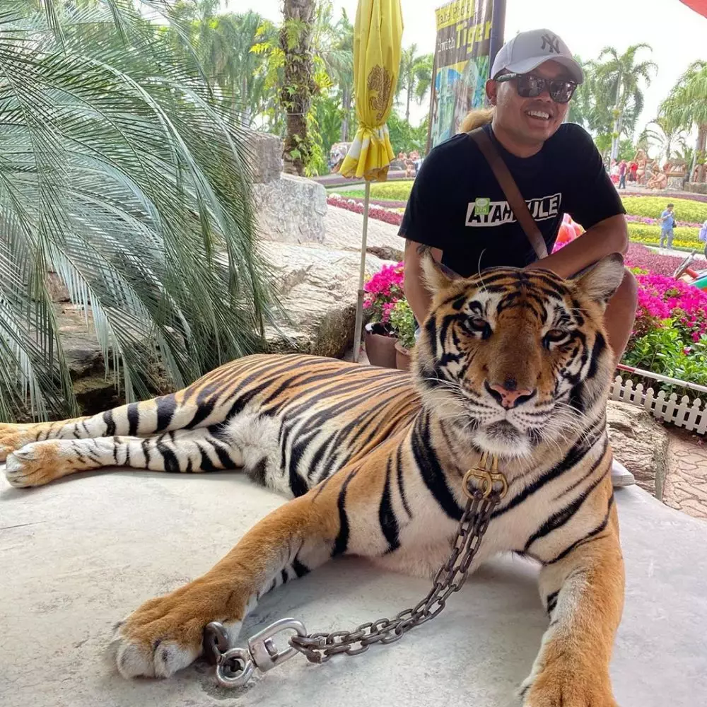 liburan sule bangkok © 2019 brilio.net