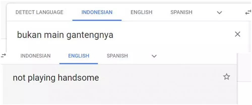 Terjemahan kata-kata nyeleneh Google Translate Google Translate