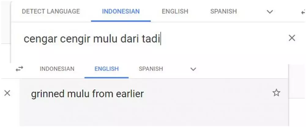 Terjemahan kata-kata nyeleneh Google Translate Google Translate