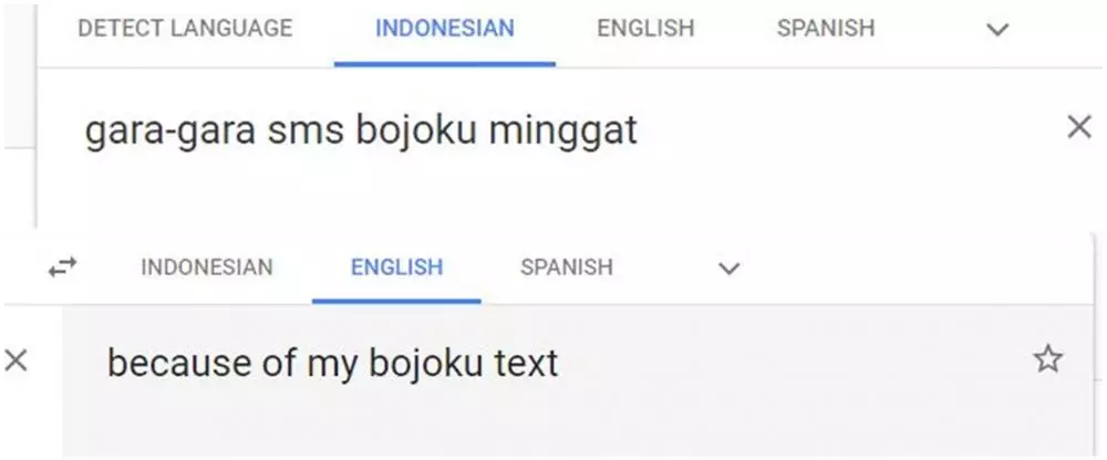 Terjemahan kata-kata nyeleneh Google Translate Google Translate