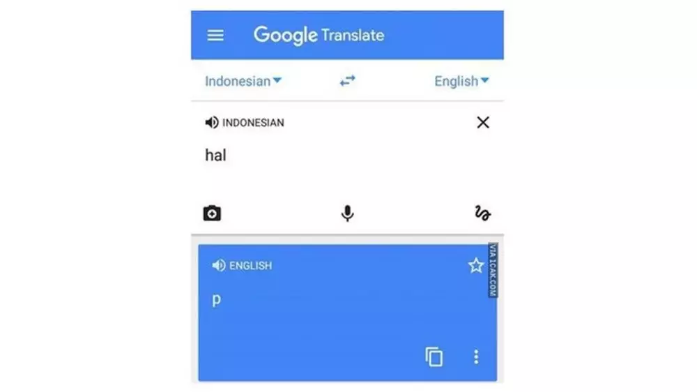 translate google bikin tepuk jidat  Istimewa
