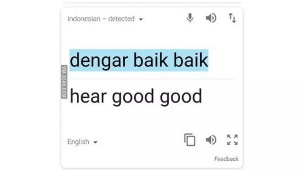 translate google bikin tepuk jidat  Istimewa