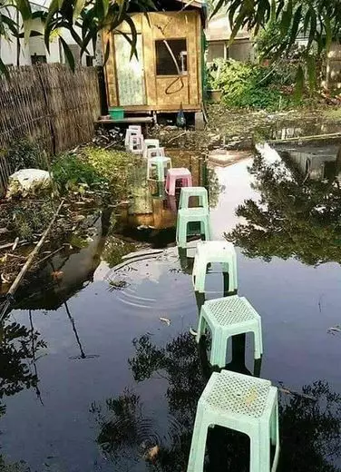 momen detik apes © 2019 brilio.net