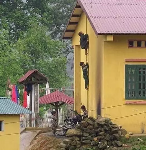 momen detik apes © 2019 brilio.net