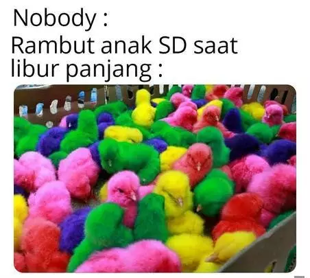 meme lucu gara-gara libur panjang © 2019 1cak.com meme lucu gara-gara libur panjang © 2019 1cak.com