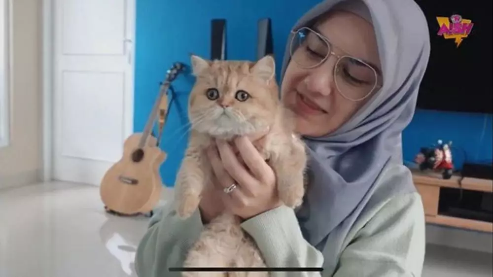 Ammar Zoni dan Irish Bella beli kucing seharga motor dari Rusia © 2019 youtube.com