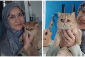 Ammar Zoni dan Irish Bella beli kucing  dari Rusia seharga motor