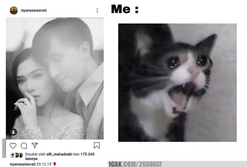 cuitan lucu isyana lamaran © berbagai sumber cuitan lucu isyana lamaran © berbagai sumber