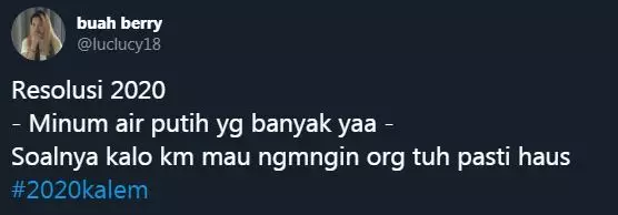 cuitan resolusi 2020 © 2019 Twitter