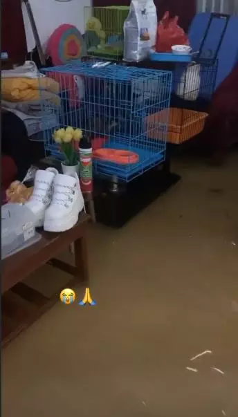 rumah evi masamba banjir © 2020 brilio.net rumah evi masamba banjir © 2020 brilio.net