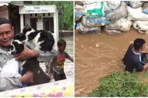 8 Potret evakuasi kucing & anjing saat banjir ini bikin haru