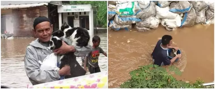 8 Potret evakuasi kucing & anjing saat banjir ini bikin haru