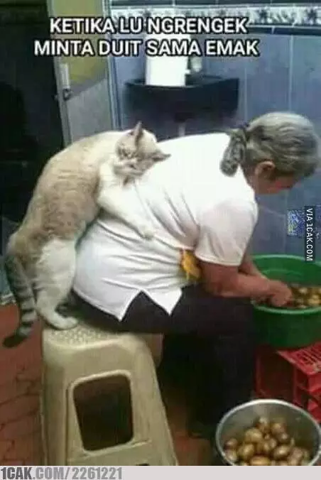 meme minta duit sama emak 1cak