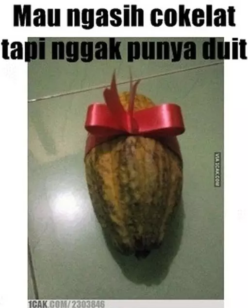 foto lucu orang dapat kado © berbagai sumber foto lucu orang dapat kado © berbagai sumber