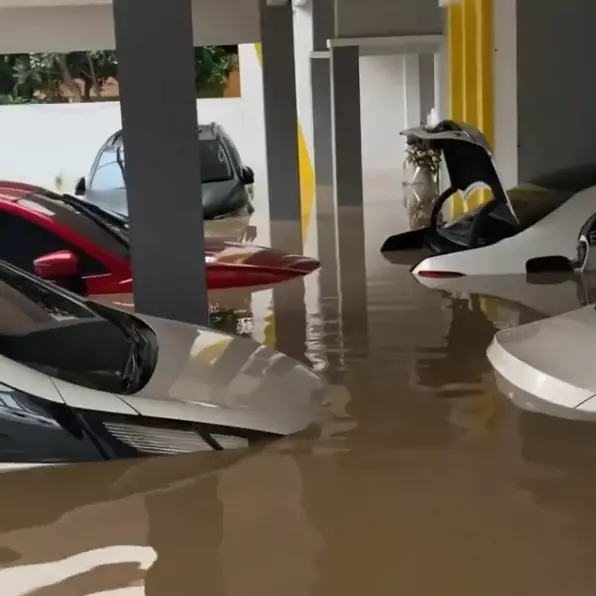 potret mobil parto sebelum sesudah banjir © Instagram/@partopatrio potret mobil parto sebelum sesudah banjir © Instagram/@partopatrio