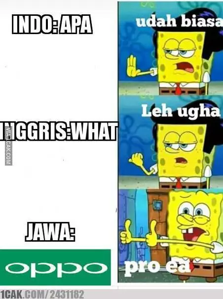 meme bahasa jawa vs indonesia ketawa © berbagai sumber