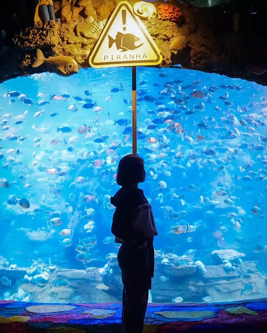 Liburan di Ancol © 2020 brilio.net Liburan di Ancol © 2020 brilio.net