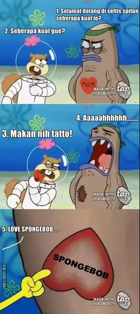 meme tato berbagai sumber