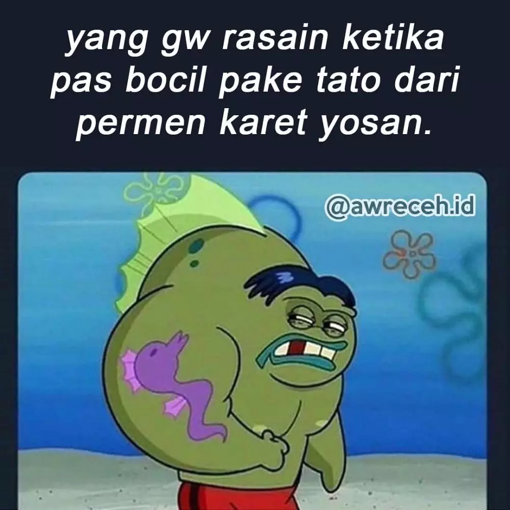 meme tato berbagai sumber