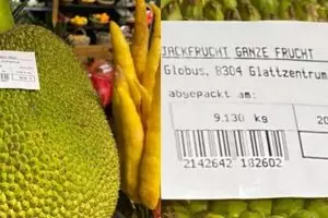 Nangka ini dijual Rp 2,5 juta per buah, bikin heboh