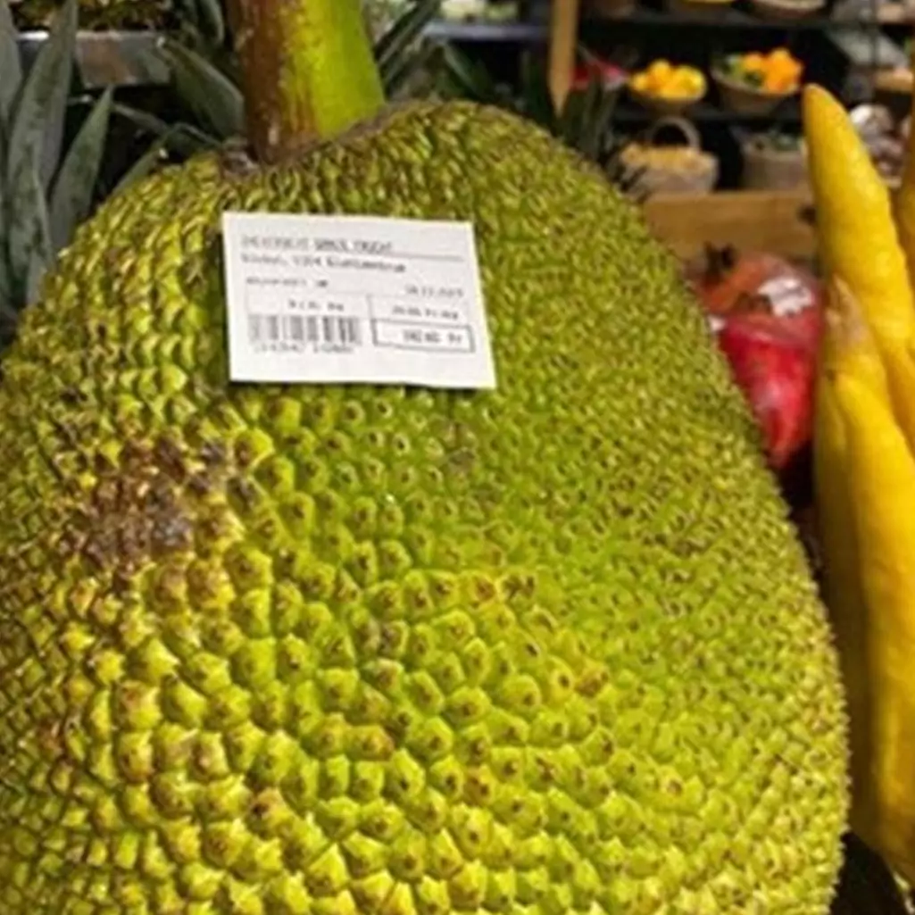 Nangka ini dijual Rp 2,5 juta per buah, bikin heboh