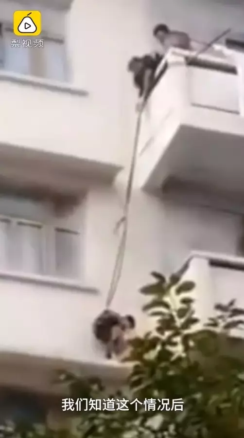 keluarga manfaatkan bocah selamatkan kucing © asiaone.com keluarga manfaatkan bocah selamatkan kucing © asiaone.com