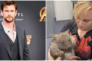 7 Seleb Hollywood ini beri donasi kebakaran di Australia