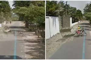 10 Momen apes terekam Google Maps, mau ketawa tapi kasihan