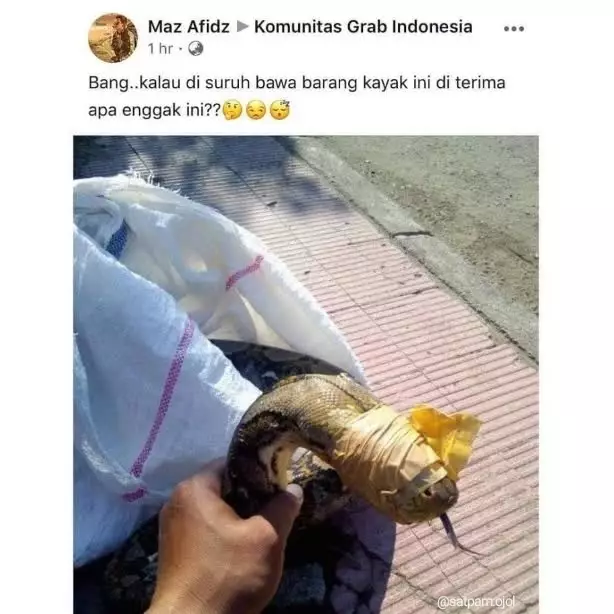 momen awkward driver antar barang © berbagai sumber