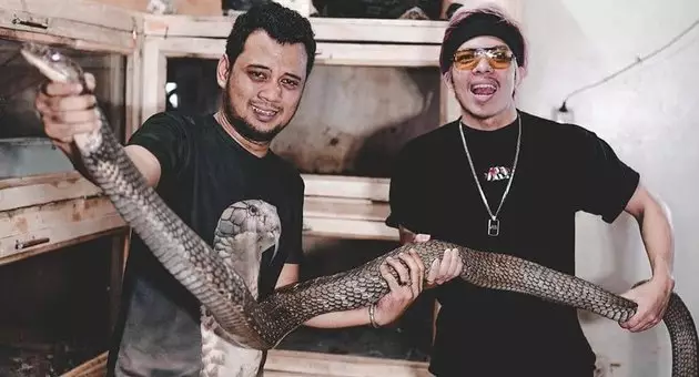 8 Momen Panji Petualang bersama King Cobra 'Garaga', bak saudara © 2020 instagram.com 8 Momen Panji Petualang bersama King Cobra 'Garaga', bak saudara © 2020 instagram.com