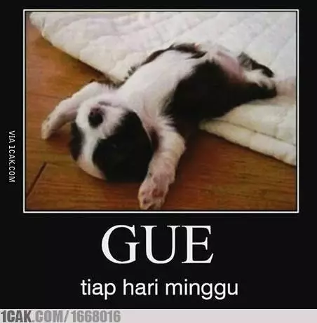 Meme Minggu Pagi 1cak Meme Minggu Pagi 1cak