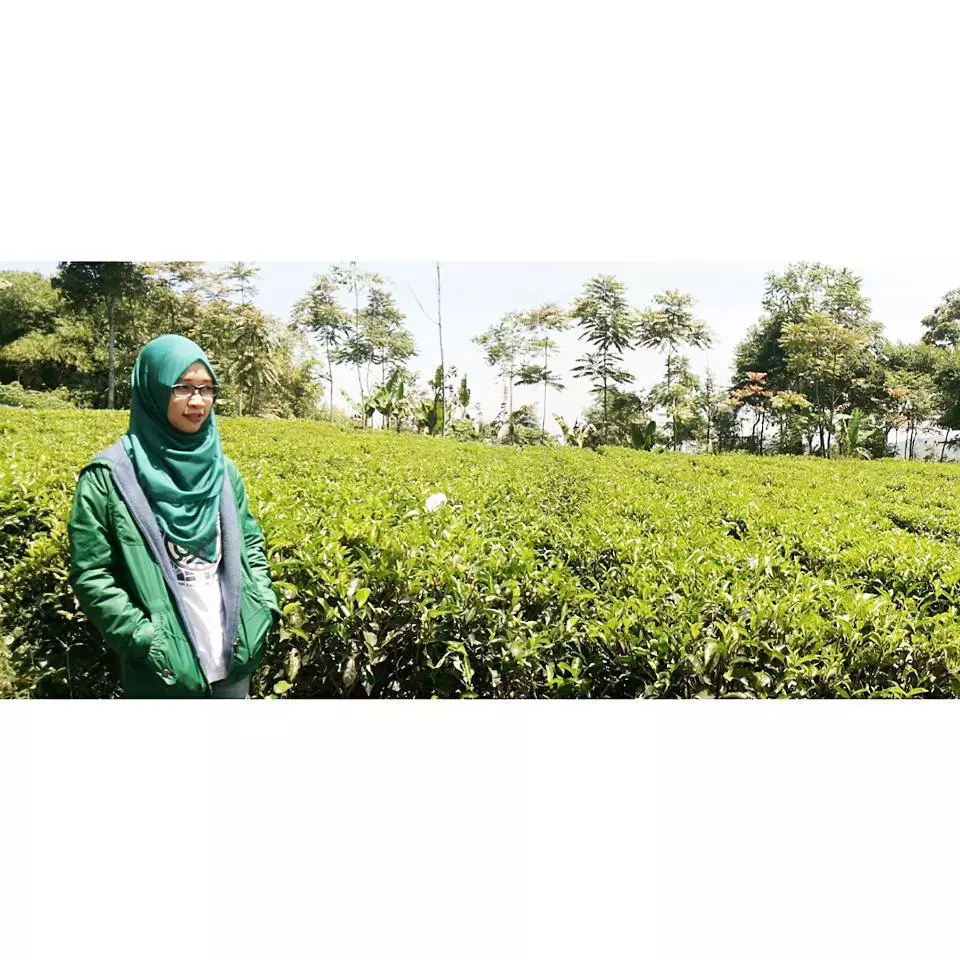 wisata tegal istimewa