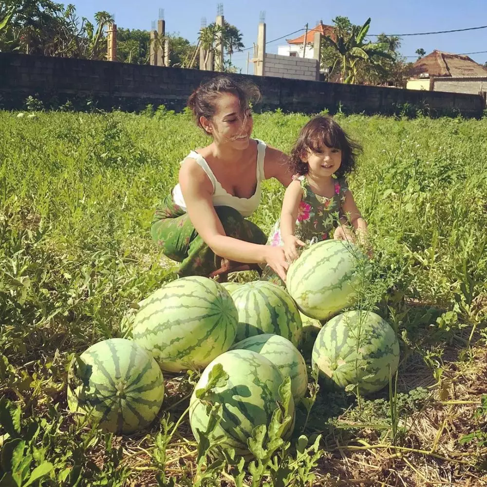 4 Fakta kehidupan Alexandra Gottardo dream.co.id