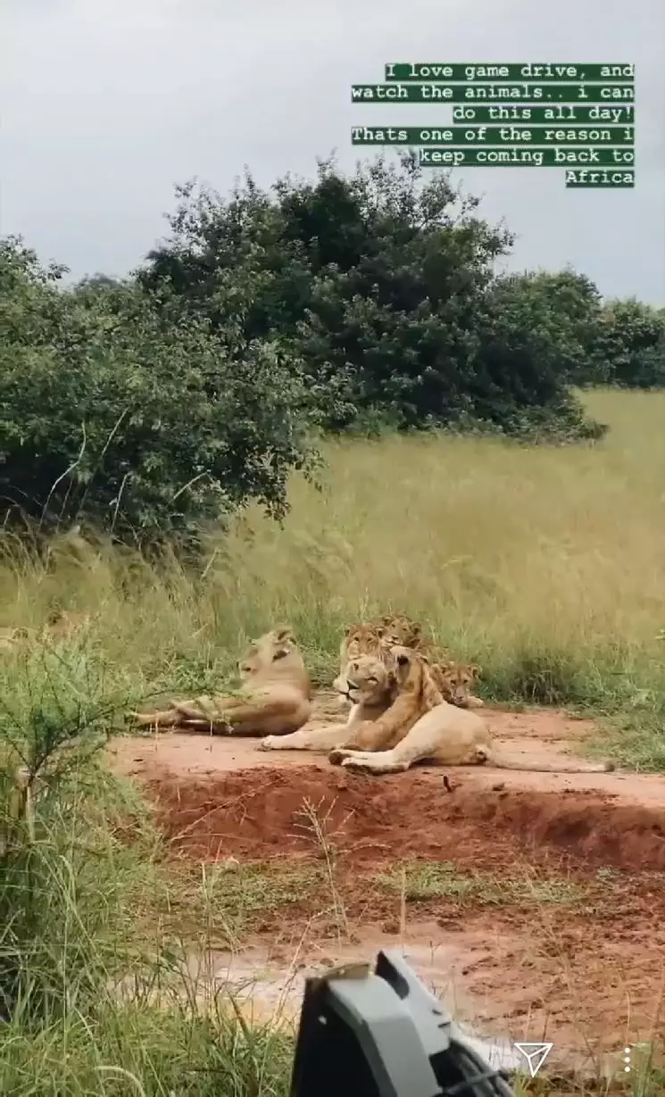 nikita willy rwanda © 2020 brilio.net