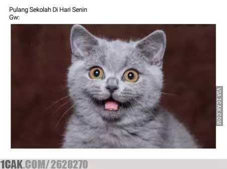 meme hari Senin di sekolah berbagai sumber meme hari Senin di sekolah berbagai sumber